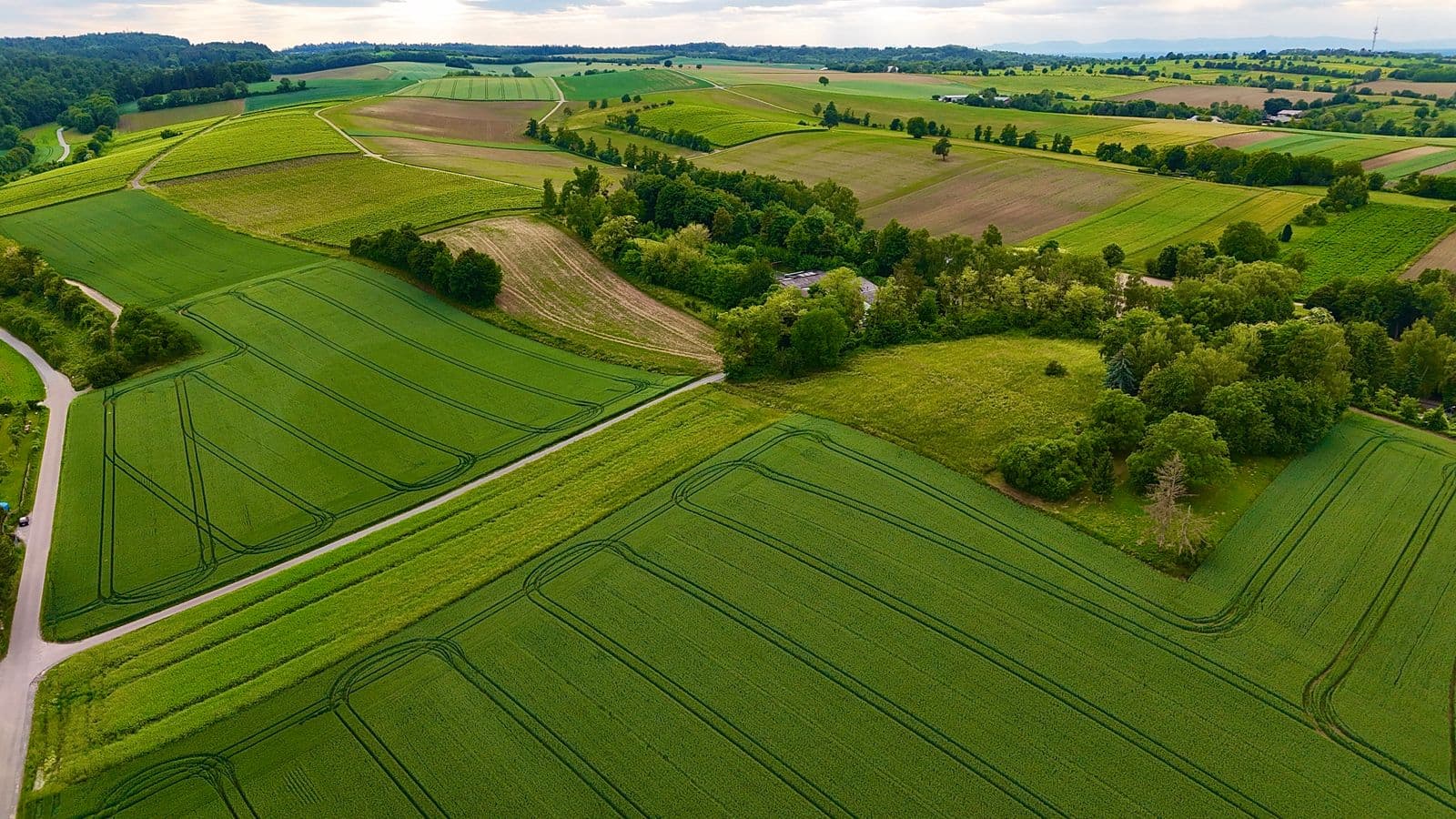 Aerial view of green agricultural fields and farmland